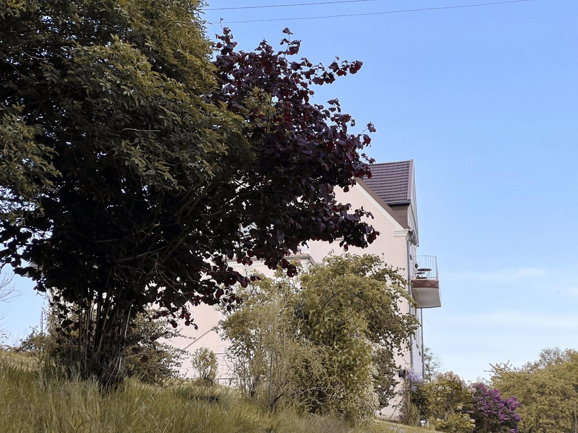 Nalbach Villa Ueberblick מראה חיצוני תמונה
